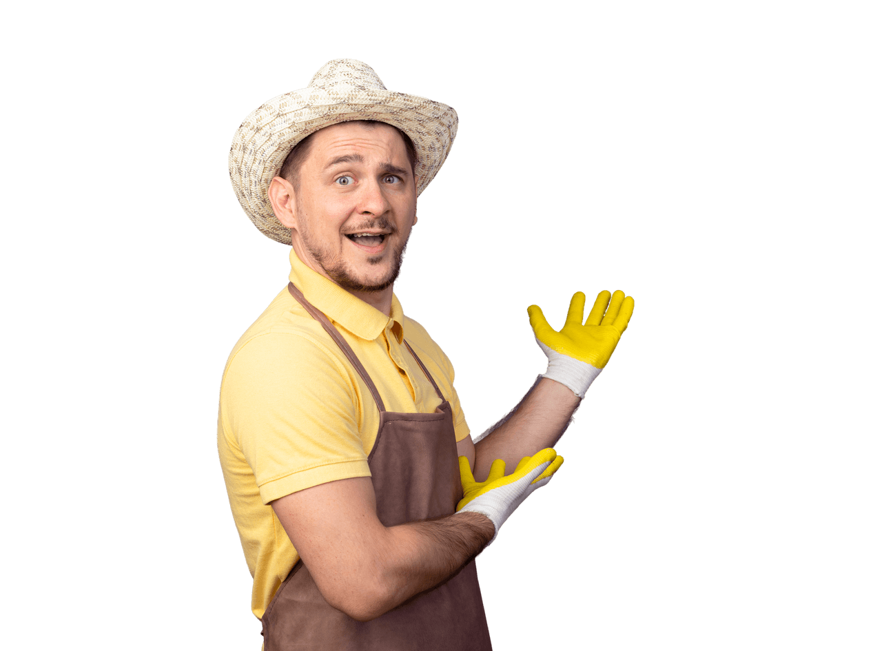 готовые грядки ДПК Москва